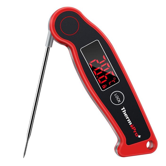 ThermoPro TP-19
