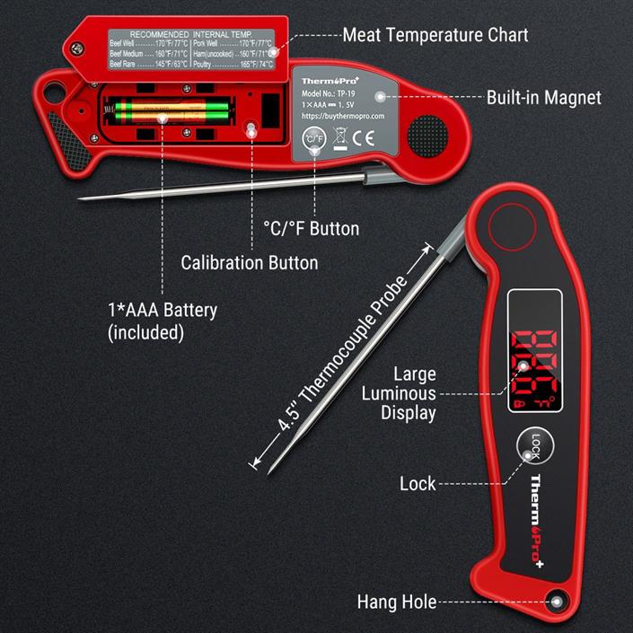 ThermoPro TP-19