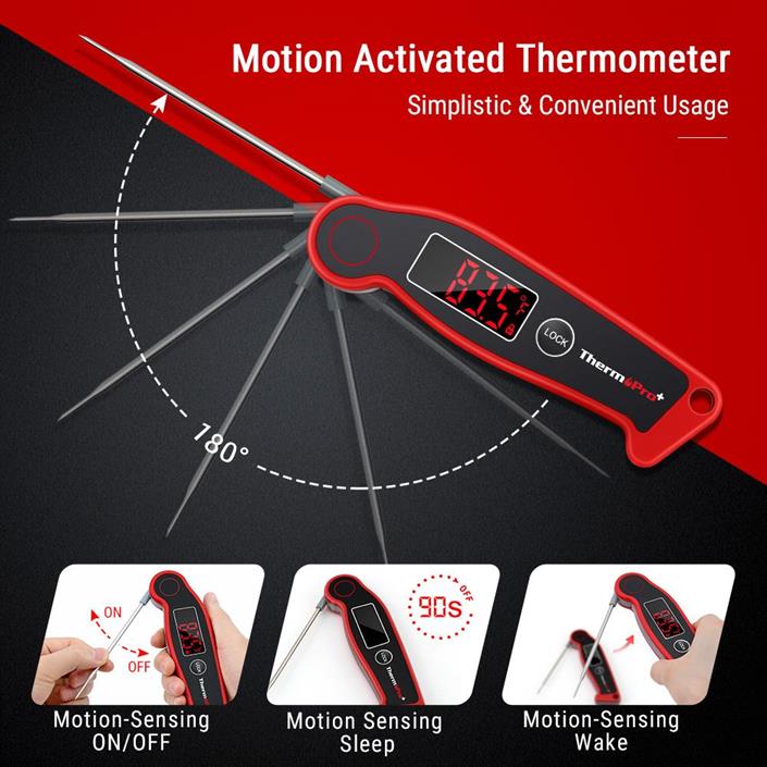 ThermoPro TP-19