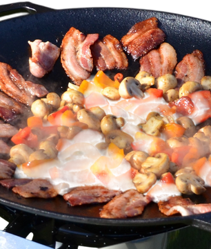 PanGourmet Active 50 PLUS